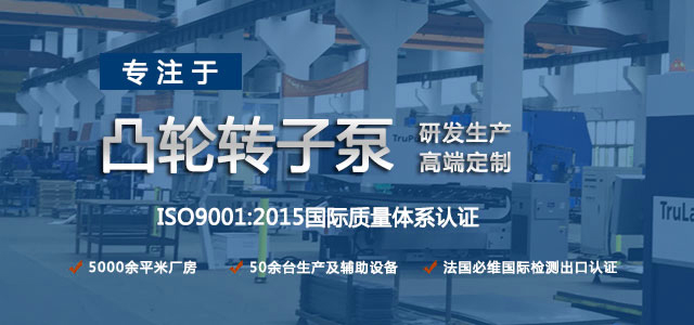 凸輪轉(zhuǎn)子泵生產(chǎn)廠家，專注于凸輪轉(zhuǎn)子泵的研發(fā)生產(chǎn)，高端定制